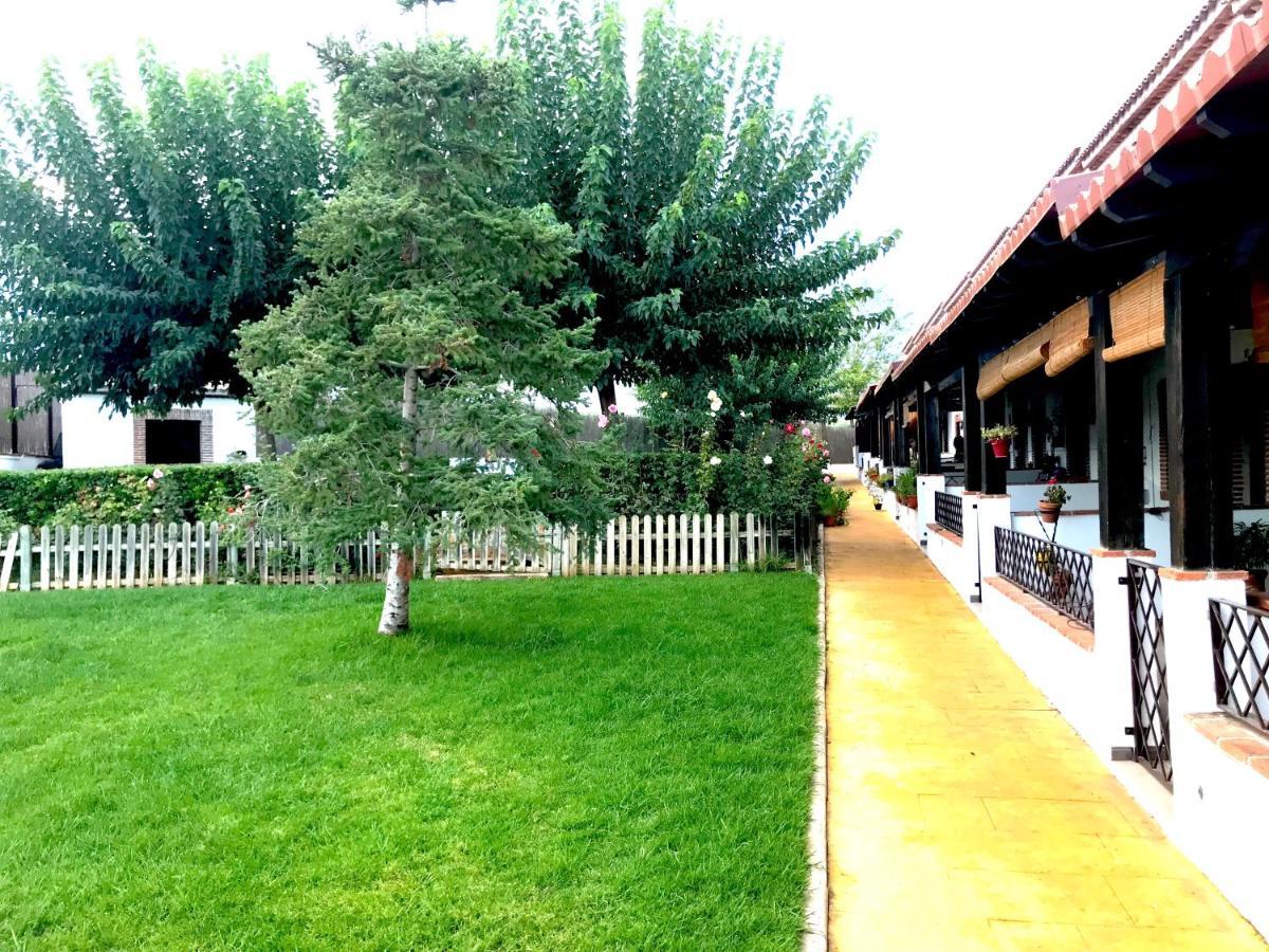 Apartamento Rural Villa Aurora Luque Εξωτερικό φωτογραφία